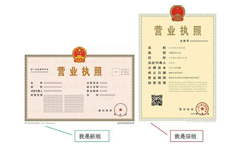 營業(yè)執(zhí)照副本編號怎么查詢？（最新詳細介紹）